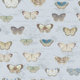 Butterfly Studies Wallpaper - Cloud Blue - by Designers Guild. Click for more details and a description.