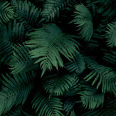 Fern Wall Wallpaper - Green - by Arthouse. Click for more details and a description.