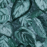 Ficus Wallpaper - Spirulina - by Hohenberger. Click for more details and a description.