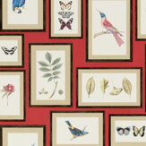 Picture Gallery Wallpaper - Red - by Sanderson. Click for more details and a description.