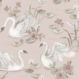 Lily Swan Wallpaper - Blush - by Boråstapeter. Click for more details and a description.