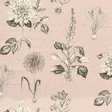 Roseraie Fabric - Blush - by Clarke & Clarke. Click for more details and a description.