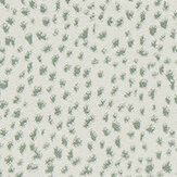 Fawn Velvet Fabric - Aqua - by Harlequin. Click for more details and a description.