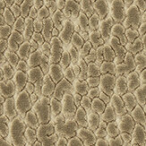Lacuna Velvet Fabric - Taupe - by Harlequin. Click for more details and a description.