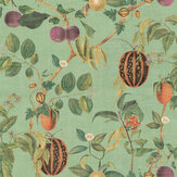 Tropic House Wallpaper - Sage - by Esselle Home. Click for more details and a description.