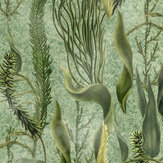Aquatic Plants Wallpaper - Green - by Mind the Gap