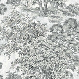 Majestic Trees Wallpaper - Charcoal - by Today Interiors
