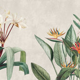 Tropical Allure Mural - Multi - by Stories of Life