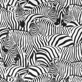 Panoramique Zebra Zone Mural - Noir et blanc - Stories of Life