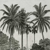 Panoramique Palma Mural - Noir / blanc - Art for the home