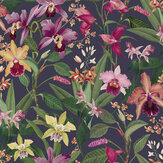 Orchid Botanical Wallpaper - Purple - by Royal Horticultural Society