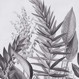 Flora & Fauna Mural - Mono - by Art for the home