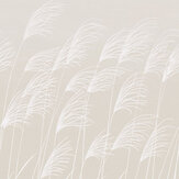 Miscanthus Mural - Parchment / Frost - by Harlequin