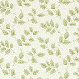 Tomato Leaf Wallpaper - Leaf Green - by Sanderson. Click for more details and a description.