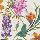 Papier peint Botanists Scroll  - Vivant - Graham & Brown