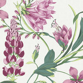 Papier peint Botanists Scroll  - Rose - Graham & Brown