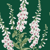 Papier peint Foxglove  - Émeraude - Graham & Brown