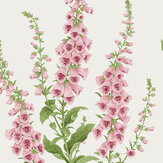 Papier peint Foxglove  - Rose et vert - Graham & Brown