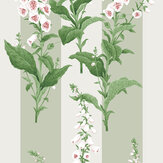 Papier peint Foxglove Stripe - Sauge - Graham & Brown