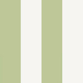 Papier peint Quartet Stripe - Vert - Graham & Brown