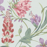Papier peint Botanists Scroll  - Œuf de canard - Graham & Brown