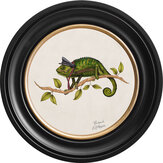 Cleo 44cm Ebony Frame Art - Chalk White - by Brand McKenzie