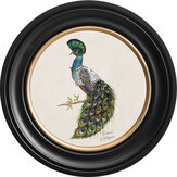 Prince 44cm Ebony Frame Art - Chalk White - by Brand McKenzie