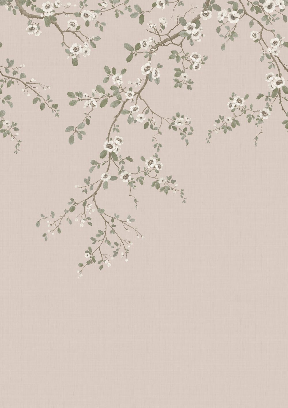 Alderbourne Mural - Vintage Blush - by Timothy Wilman Home