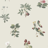Somerton Wallpaper - Classic Ivory - by Timothy Wilman Home
