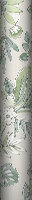Begonia Wallpaper - Greens - by Albany