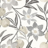 Passiflora Wallpaper - Black - by Albany