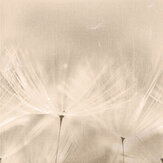 Dandelion Mural - Nude - by Grandeco
