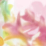 Panoramique Maravillas - Rose - Coordonne