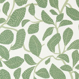 Sweet Bay Wallpaper - Forest - by Scion. Click for more details and a description.