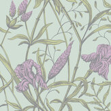 Iris Wallpaper - Lavender on Duck Egg - by Cole & Son