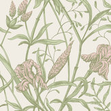 Iris Wallpaper - Soft Coral on Chalk - by Cole & Son