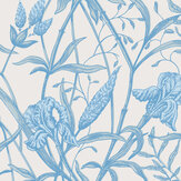 Iris Wallpaper - Soft Cerulean on Porcelain - by Cole & Son