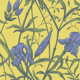 Iris Wallpaper - Violet on Citrine - by Cole & Son