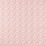 Gamthi Fabric - Blush - by Clarke & Clarke. Click for more details and a description.