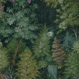 Midnight Woods Wallpaper - Green - by Albany