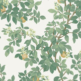 Orange Tree Wallpaper - Cream and Green - by Albany
