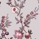 Papier peint Allurium - Rose - Graham & Brown