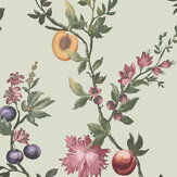 Papier peint Allurium - Sauge - Graham & Brown