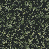 Archivist’s Leaf Wallpaper - Night - by Graham & Brown. Click for more details and a description.