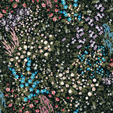 Papier peint Painterly Flora - Noir - Graham & Brown