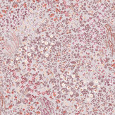 Papier peint Painterly Flora - Rose - Graham & Brown