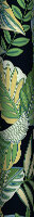 Key Haven Wallpaper - Green / Black - by Today Interiors