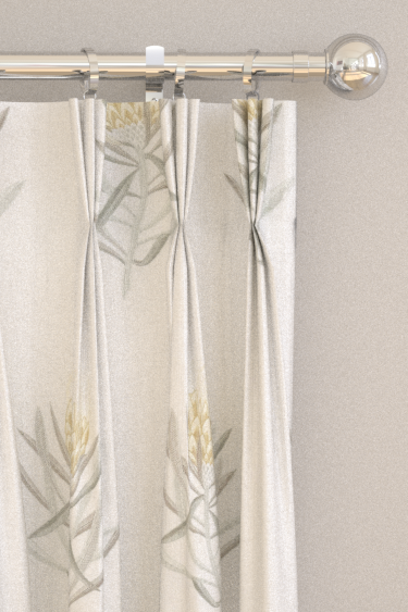 Protea Flower Curtains - Daffodil / Natural - by Sanderson. Click for more details and a description.