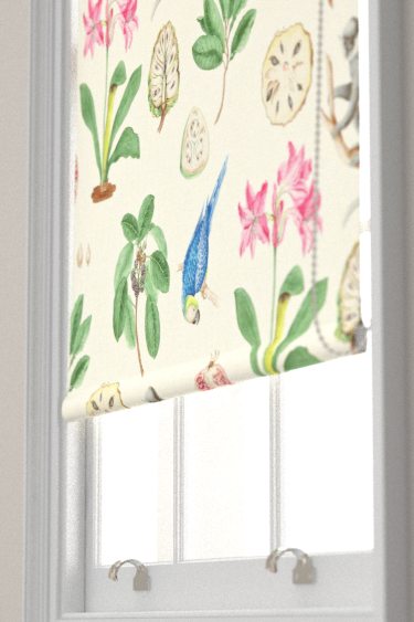 Capuchins Blind - Chintz - by Sanderson. Click for more details and a description.