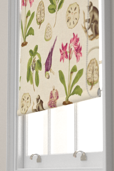 Capuchins Blind - Boysenberry - by Sanderson. Click for more details and a description.